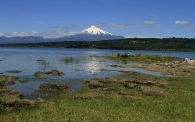 Edificio LINK en Villarrica: La Elección Perfecta para Invertir o Vivir en el Sur de Chile